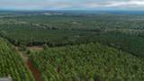 652 ACRES Ga Hwy 45 - Photo 26