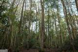 652 ACRES Ga Hwy 45 - Photo 5