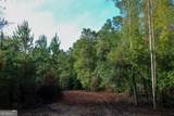 652 ACRES Ga Hwy 45 - Photo 7