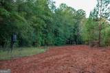 652 ACRES Ga Hwy 45 - Photo 9