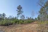 0 Dean Patrick Road - Photo 11