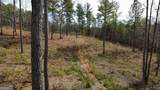 LOT 108 Blalock Mountain Road - Photo 8