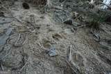 0 E Hightower Trail - Photo 28