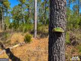 0 Americus Highway - Photo 2