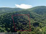 LOT 13 Wilderness Way - Photo 3