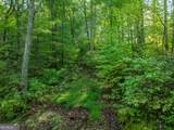 LOT 13 Wilderness Way - Photo 8