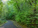 LOT 13 Wilderness Way - Photo 9