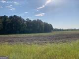 0076 001 Tifton Eldorado Road - Photo 11