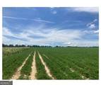 0076 001 Tifton Eldorado Road - Photo 5