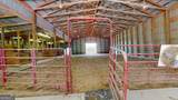 139 Harris Lane - Photo 50