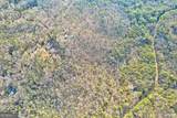 48 MT Mt Mcgruder Road - Photo 38