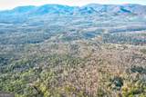 48 MT Mt Mcgruder Road - Photo 39