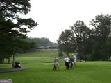 107 Rolling Green - Photo 4