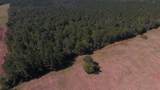 0 Highway 11 - Photo 14