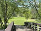 448 Golden Bear Pass - Photo 74