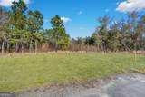 13208 Oglethorpe East Highway - Photo 9