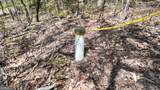 LOT 19 Heyden Ridge Drive - Photo 10