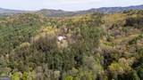 306 Pig Trail - Photo 3