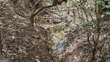 0 Heavenly Circle - Photo 16