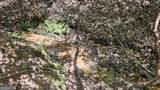 0 Heavenly Circle - Photo 22
