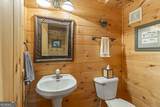 852 Black Bear Den Road - Photo 28
