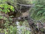 0 Needmore Road - (345.37 Acres) - Photo 27