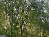 0 Needmore Road - (345.37 Acres) - Photo 6