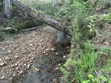 0 Needmore Road - (345.37 Acres) - Photo 7