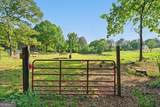 87 Old Martin Road - Photo 54