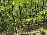 TRACT 16 Quinn Cove Road - Photo 4