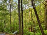TRACT 16 Quinn Cove Road - Photo 5