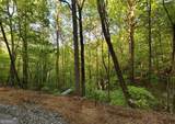 TRACT 16 Quinn Cove Road - Photo 8