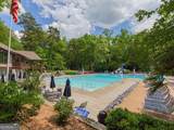 464 Pine Tree Drive - Photo 80