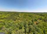 324 ACRES Hunsinger Road - Photo 13