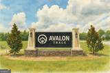 127 Avalon Trace - Photo 4