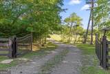 1667 Old Federal Road - Photo 83