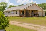 655 White Road - Photo 4