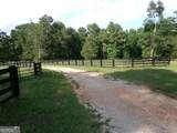 +/- 35 ACRES Youth Jersey Road - Photo 13