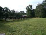 +/- 35 ACRES Youth Jersey Road - Photo 28