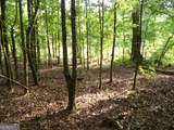 +/- 35 ACRES Youth Jersey Road - Photo 34