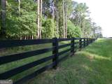 +/- 35 ACRES Youth Jersey Road - Photo 7