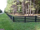 +/- 35 ACRES Youth Jersey Road - Photo 8