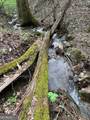 402 Picklesimer Mtn Trail - Photo 58
