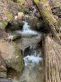 402 Picklesimer Mtn Trail - Photo 59