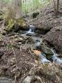 402 Picklesimer Mtn Trail - Photo 60