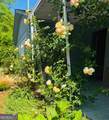 215 Cooper Road - Photo 24