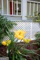 215 Cooper Road - Photo 7