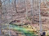 5827 Brasstown Creek Estate - Photo 48