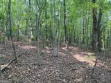 LT 51, 53 Squirrel Hunting Road - Photo 16