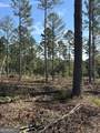 0 Seven islands Road - Photo 3